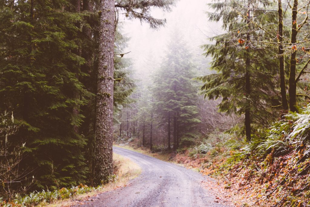 Where to Wheel: The Best Places to hit the Trail in Oregon