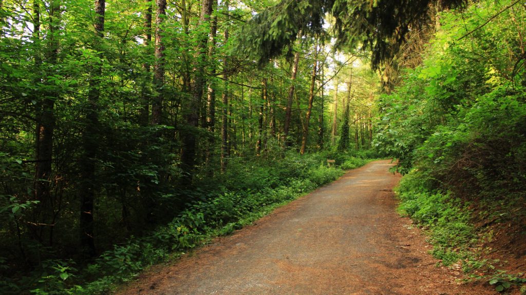 Where to Wheel: Illinois